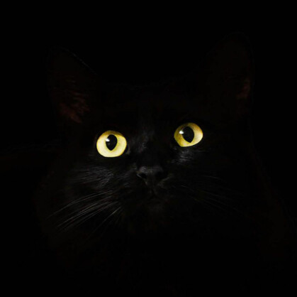 Главное изображение для квеста Прятки в темноте