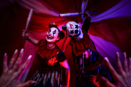 иллюстрация 4 для квеста Цирк. Кровавое шоу Ставрополь