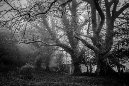 иллюстрация 3 для квеста Поворот не туда Ставрополь