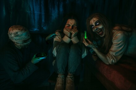 иллюстрация 4 для квеста Кома Ставрополь