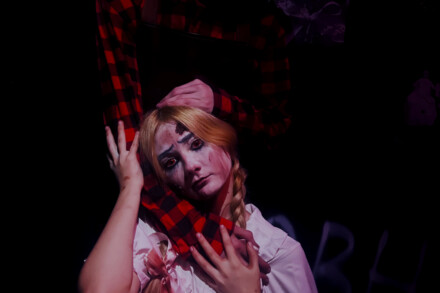 иллюстрация 3 для квеста Кровные зузы Ставрополь