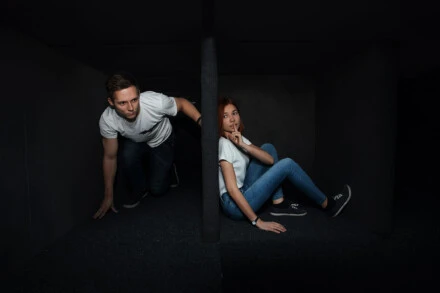 иллюстрация 1 для квеста Прятки в лабиринте Воронеж