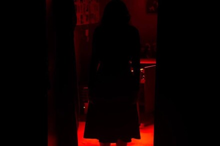 иллюстрация 6 для квеста Ужасная история дома Чикатило Воронеж