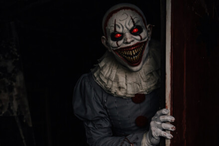 иллюстрация 1 для квеста Последнее Цирковое Шоу Воронеж