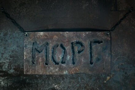 иллюстрация 1 для квеста Морг. 10 комнат Адреналина 2.0. Тольятти