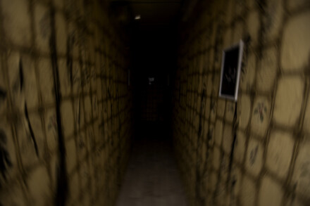 иллюстрация 2 для квеста Phasmophobia Челябинск