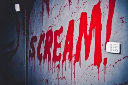 иллюстрация 4 для квеста Перфоманс «Шизофрения» Ярославль