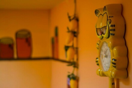 иллюстрация 5 для квеста Ох уж эти тролли Ярославль