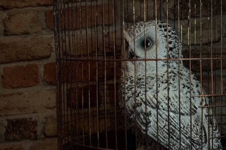 иллюстрация 2 для квеста Школа Чародейства и Волшебства Астрахань