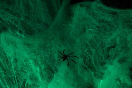 иллюстрация 5 для квеста Дом с привидениями Астрахань