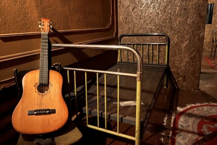 иллюстрация 1 для квеста Серп и морда — Пугало Томск