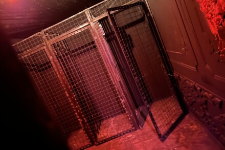 иллюстрация 2 для квеста Подвал мясника Томск