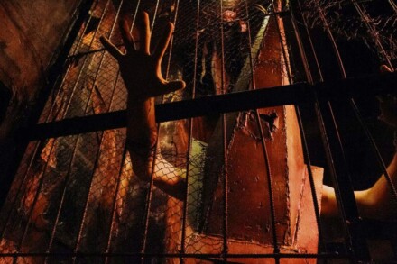 иллюстрация 1 для квеста Silent Hill Новосибирск