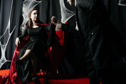 иллюстрация 3 для квеста Вампирлэнд Барнаул