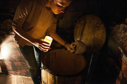 иллюстрация 2 для квеста Тайна Пиратской Пещеры Самара