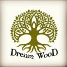 Лого: квесты Dream Wood Рязань