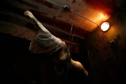 иллюстрация 1 для квеста Silent Hill Иваново