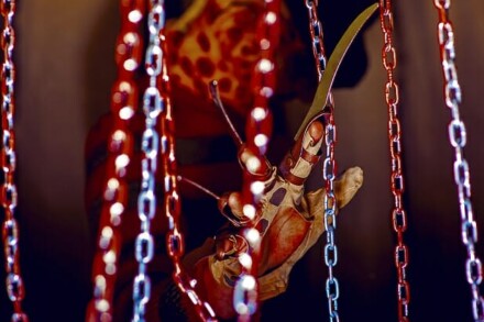 иллюстрация 2 для квеста Никогда не спите Саратов