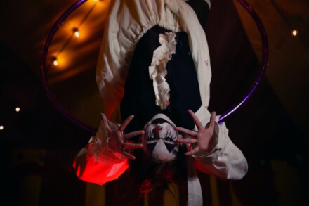 иллюстрация 2 для квеста Кукловод: Цирковое шоу Ростов