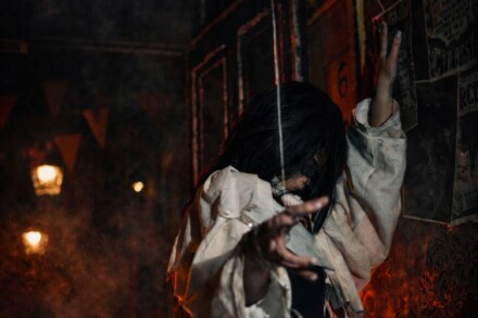 иллюстрация 3 для квеста Цирк: шоу кукловода Ростов