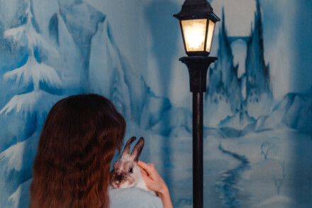 иллюстрация 4 для квеста Кинотеатр «Портал» Казань